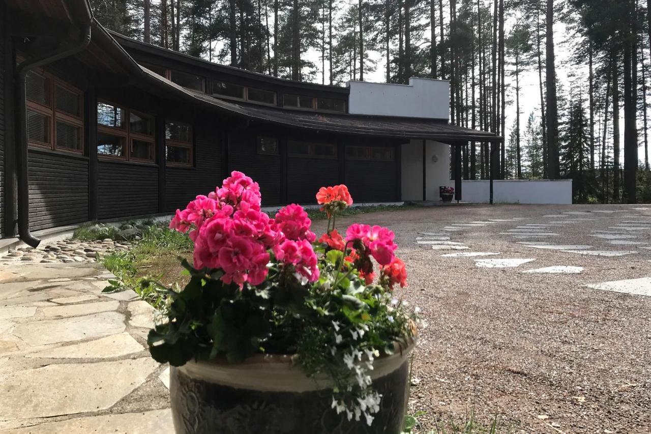 Luontohotelli Sapson Helmi Sotkamo Exterior foto